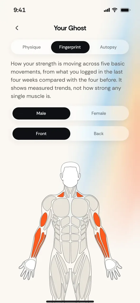 Strength Fingerprint across push, pull, squat, hinge and carry